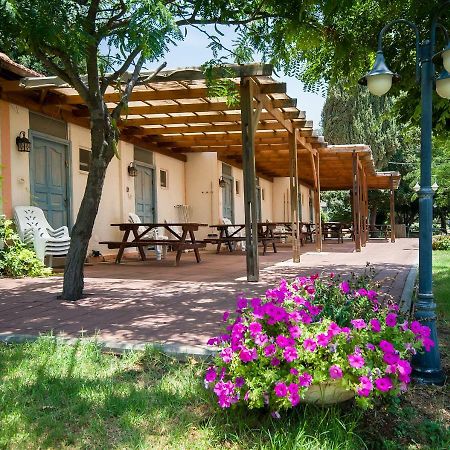 Kibbutz Moran Digital Nomads Village-Adults Only Ngoại thất bức ảnh