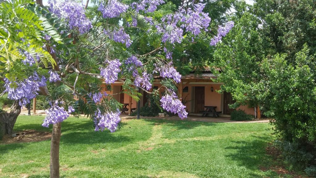 Kibbutz Moran Digital Nomads Village-Adults Only Ngoại thất bức ảnh