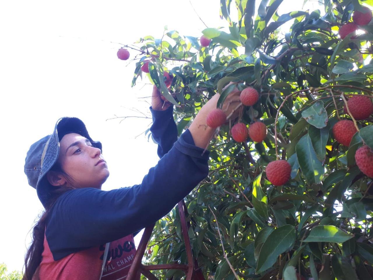 Kibbutz Moran Digital Nomads Village-Adults Only Ngoại thất bức ảnh