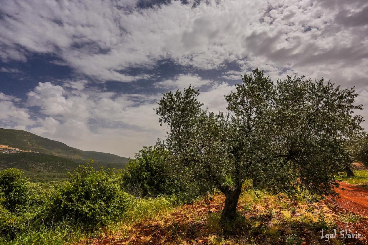 Kibbutz Moran Digital Nomads Village-Adults Only Ngoại thất bức ảnh