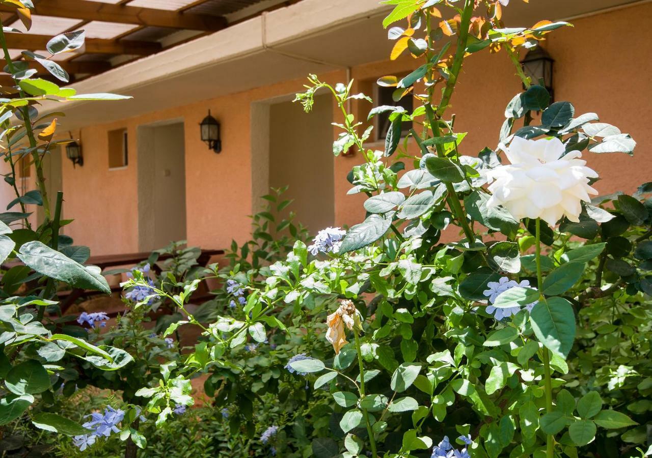 Kibbutz Moran Digital Nomads Village-Adults Only Ngoại thất bức ảnh