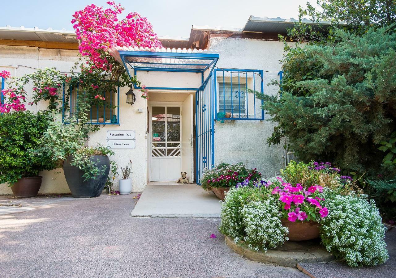 Kibbutz Moran Digital Nomads Village-Adults Only Ngoại thất bức ảnh