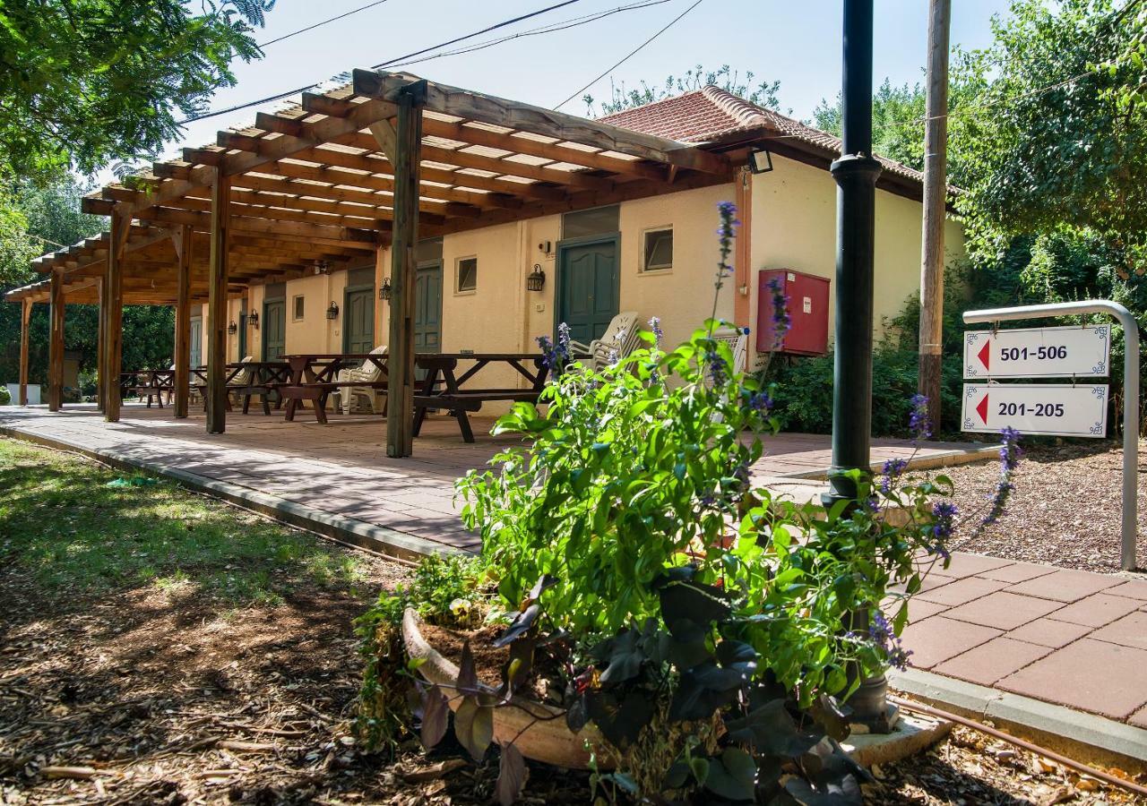 Kibbutz Moran Digital Nomads Village-Adults Only Phòng bức ảnh