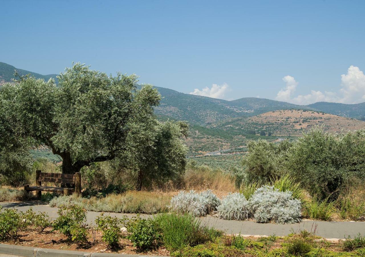 Kibbutz Moran Digital Nomads Village-Adults Only Ngoại thất bức ảnh
