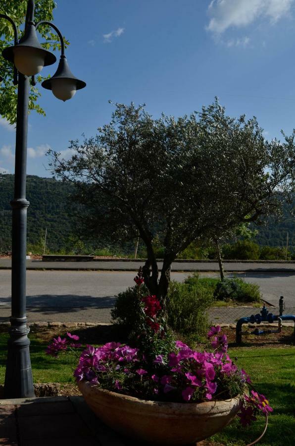 Kibbutz Moran Digital Nomads Village-Adults Only Ngoại thất bức ảnh
