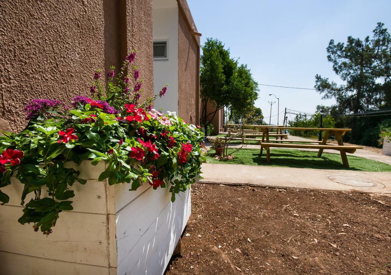 Kibbutz Moran Digital Nomads Village-Adults Only Ngoại thất bức ảnh
