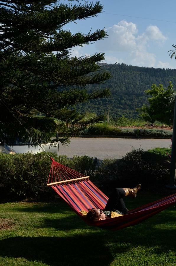 Kibbutz Moran Digital Nomads Village-Adults Only Ngoại thất bức ảnh